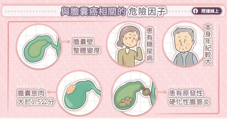 與膽囊相關的危險因子